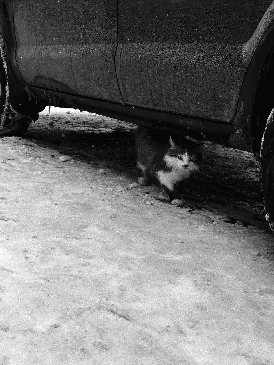 Підземний перехід