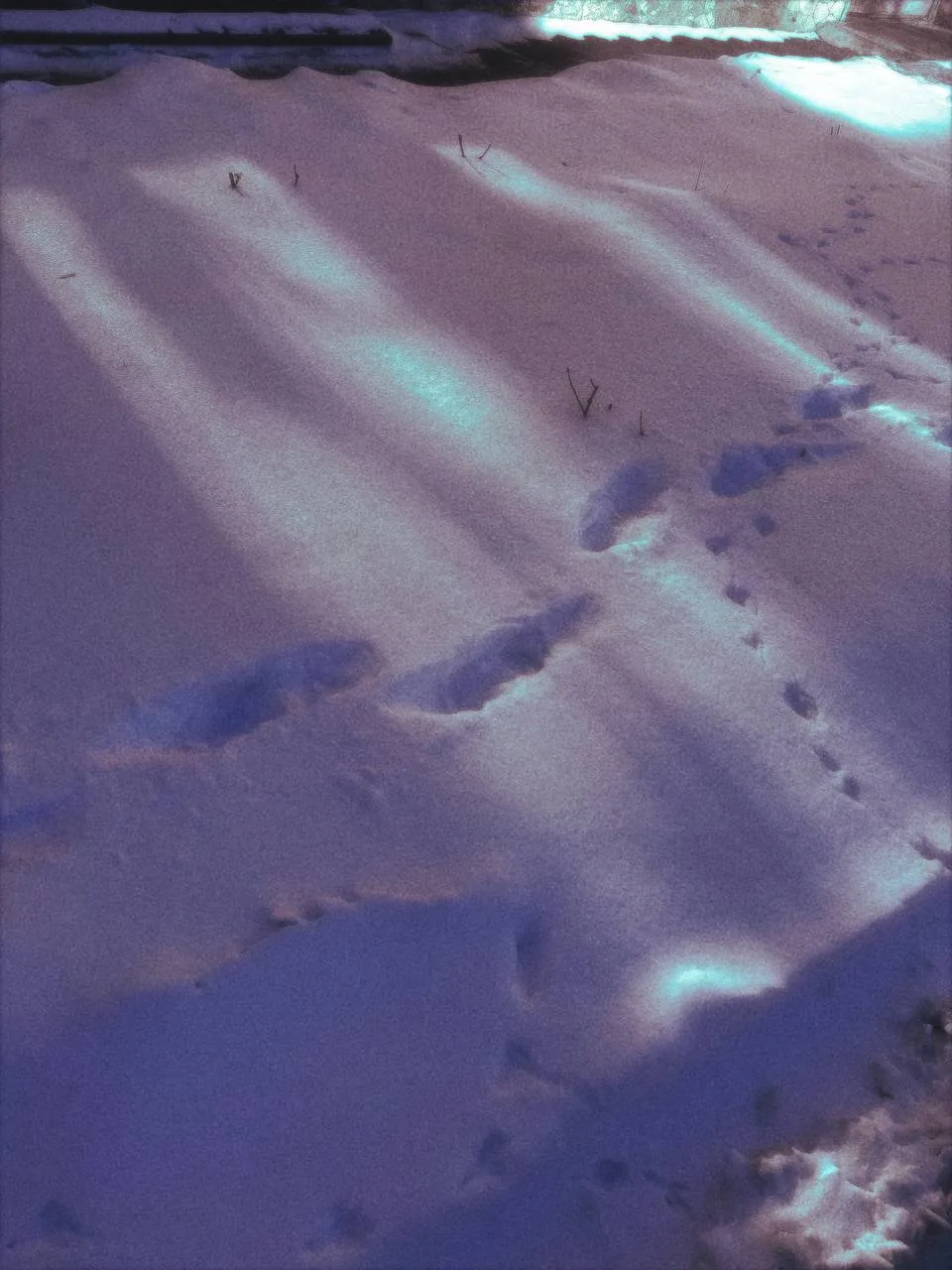 Ранкова кава